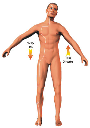 Tracing the stomach meridian